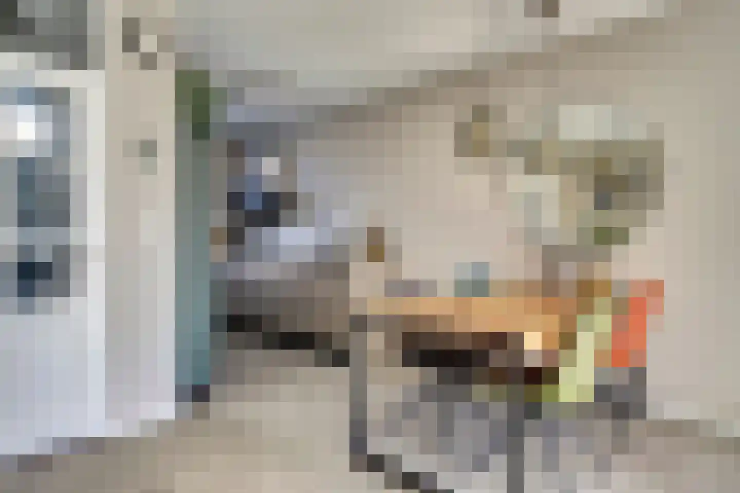 De Kempenstraat 38 Alkmaar thumbnail 16