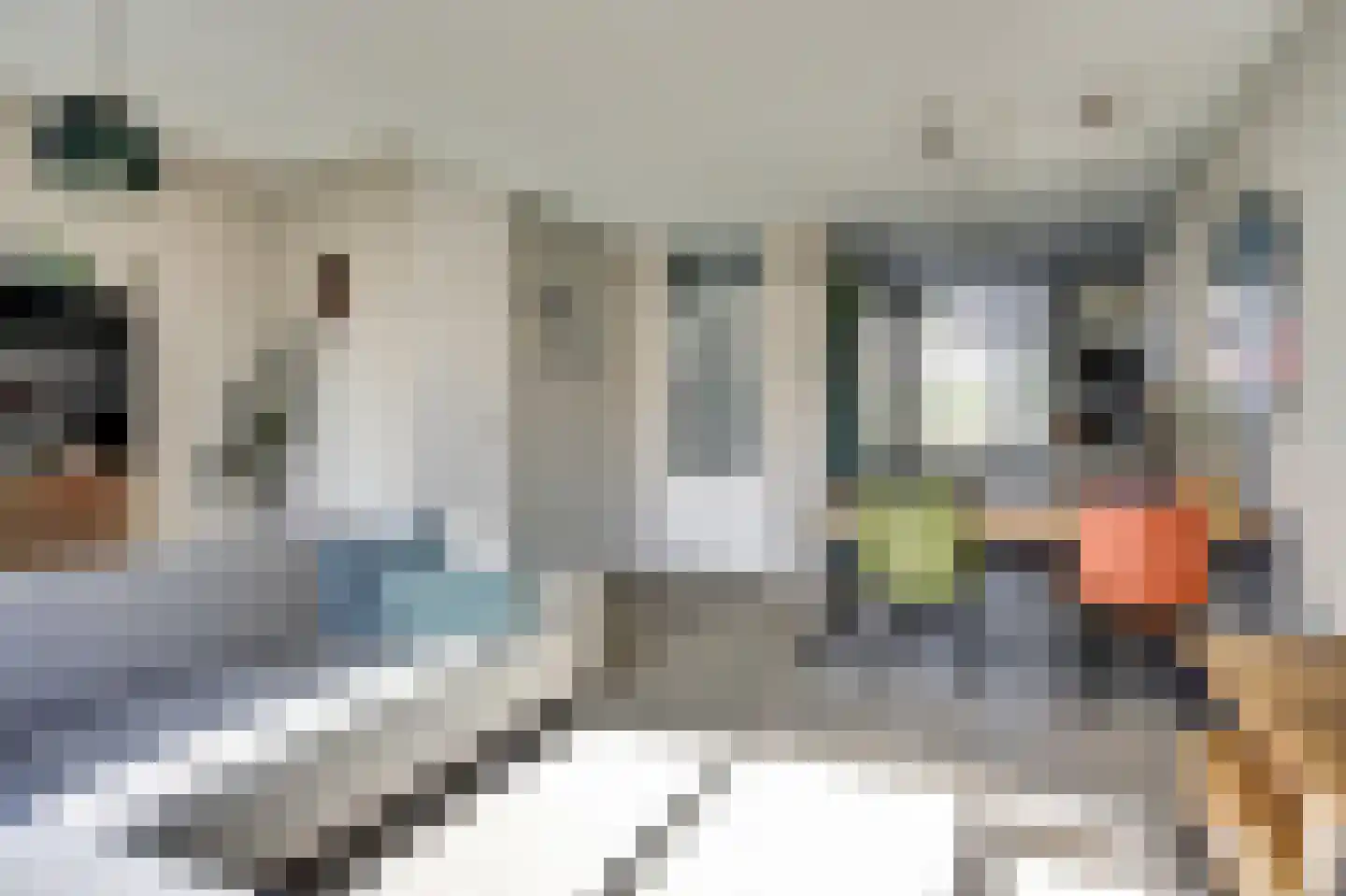 De Kempenstraat 38 Alkmaar thumbnail 8