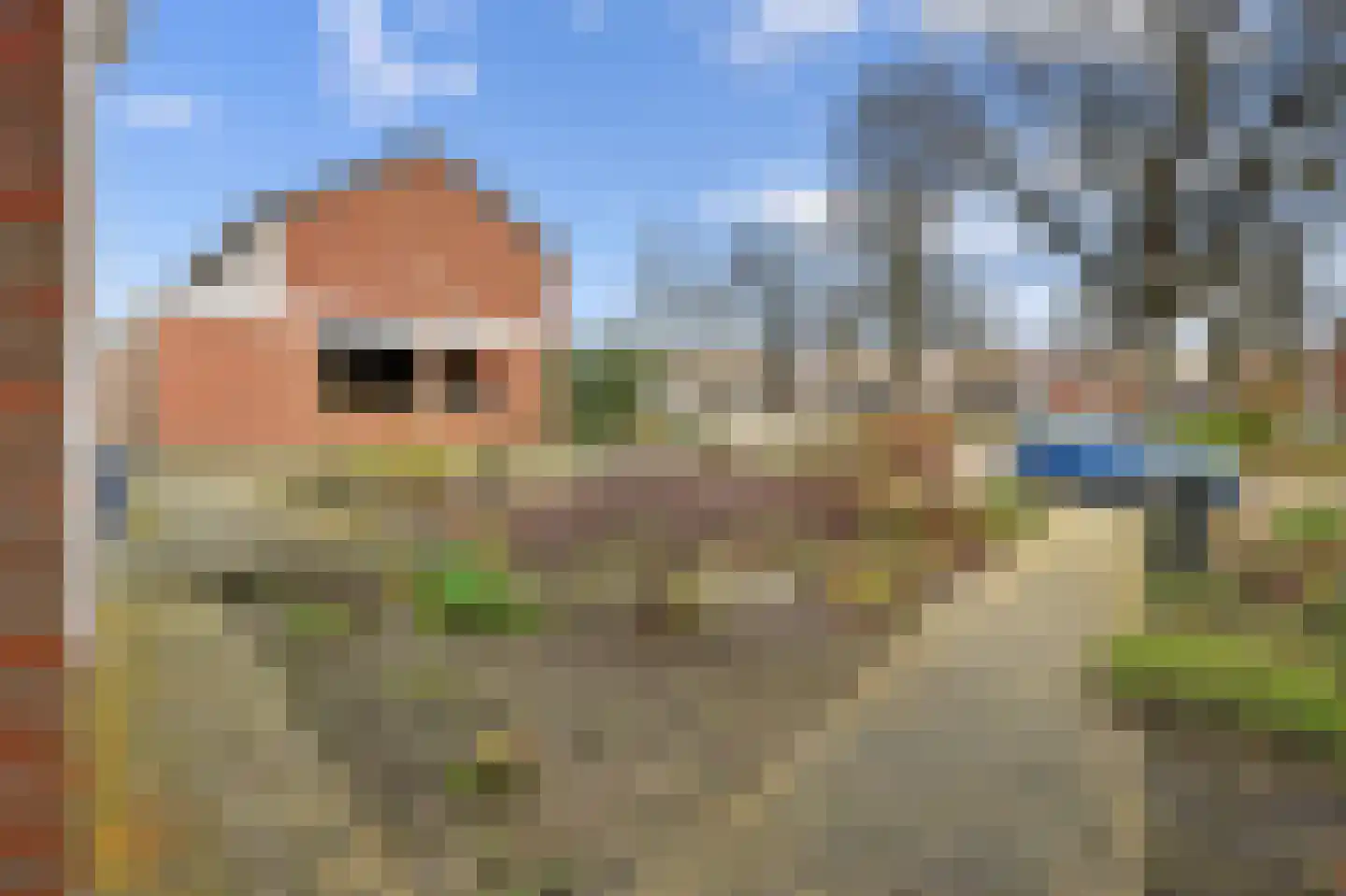 De Kerfjes 13 Schoonebeek thumbnail 33