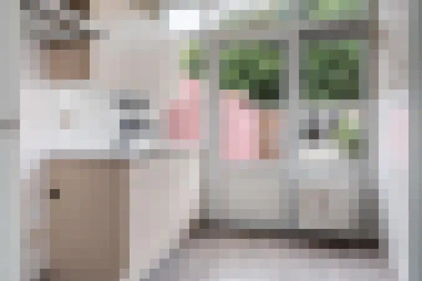 De Kerfjes 33 Schoonebeek thumbnail 15