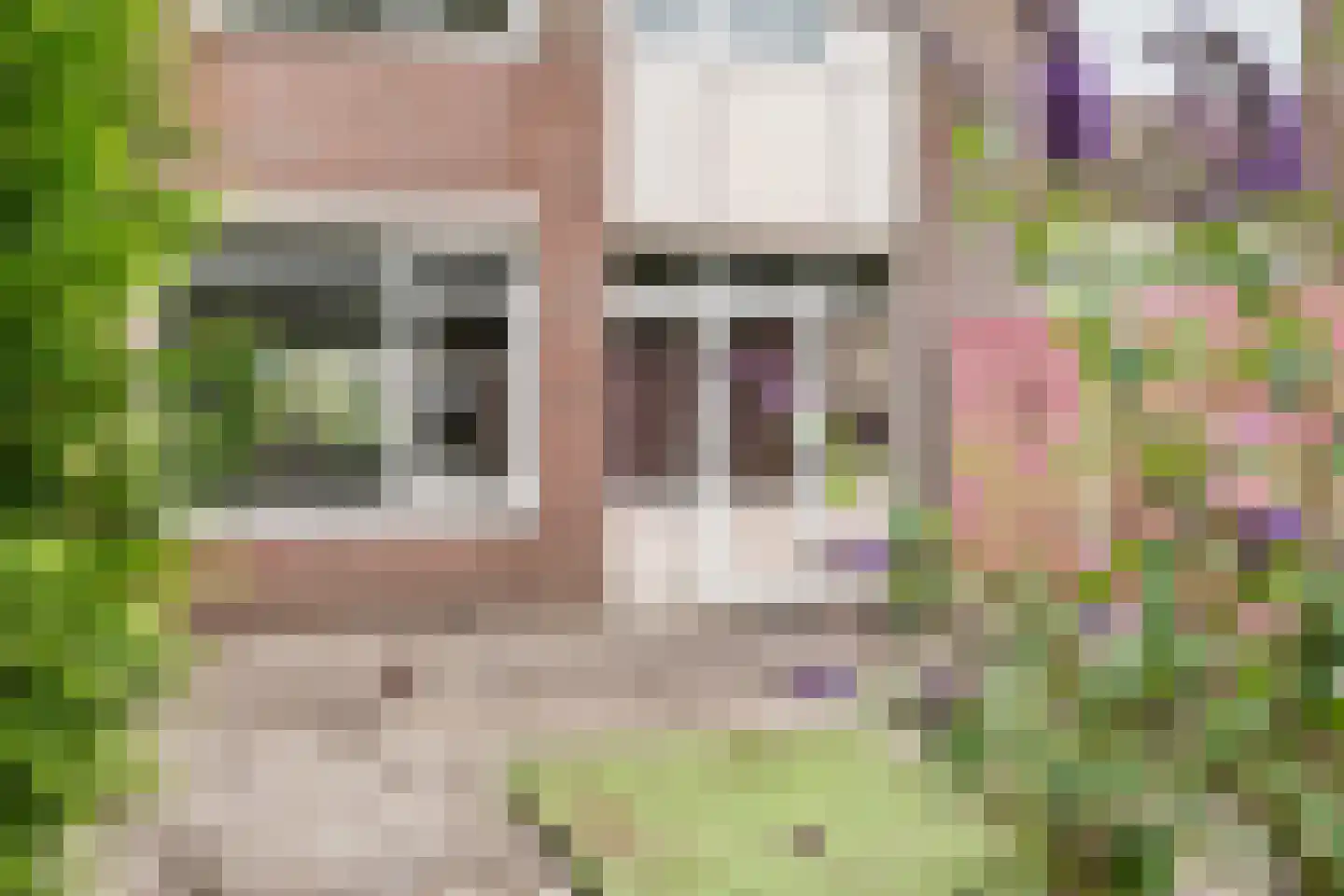 De Kerfjes 33 Schoonebeek thumbnail 27