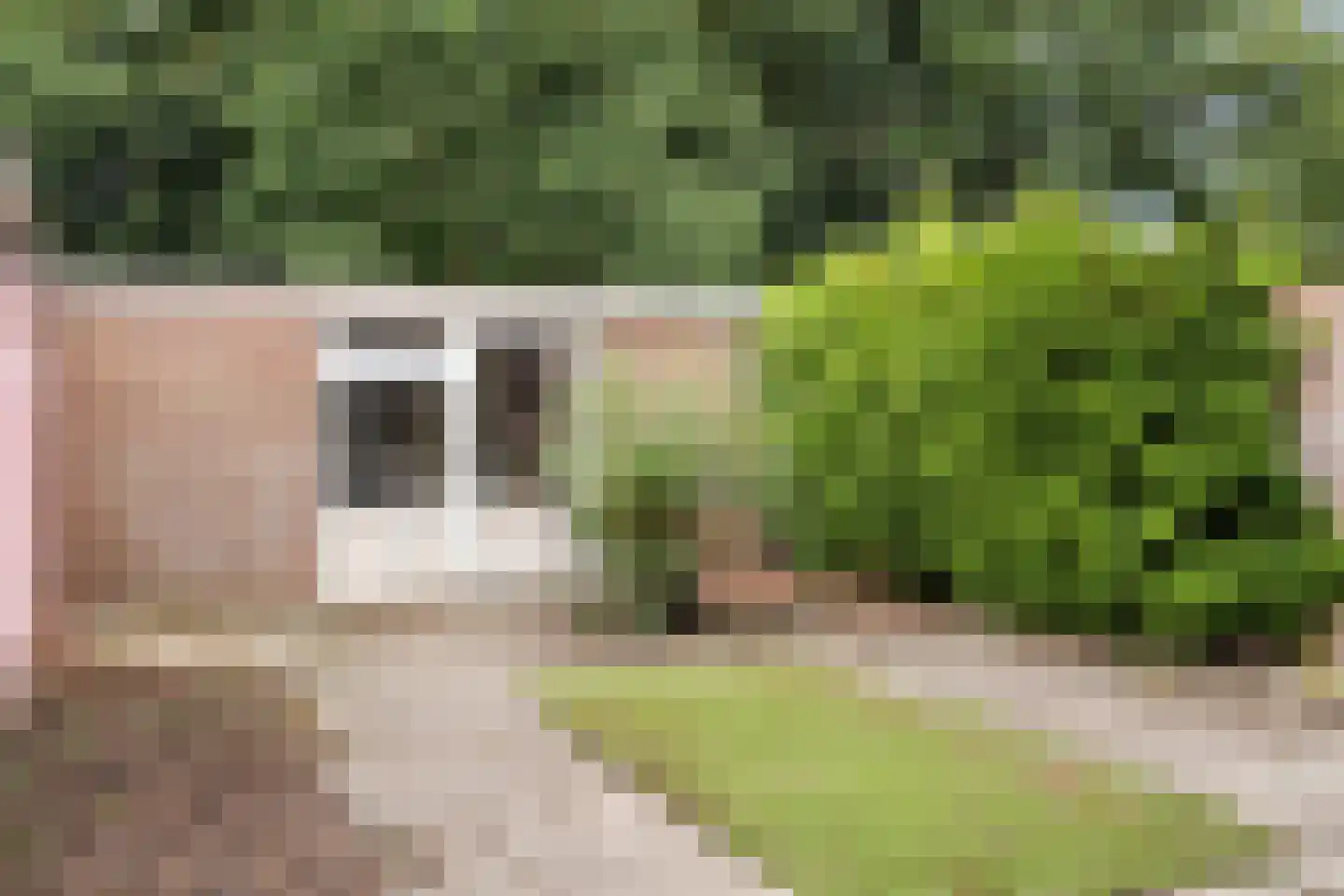 De Kerfjes 33 Schoonebeek thumbnail 28
