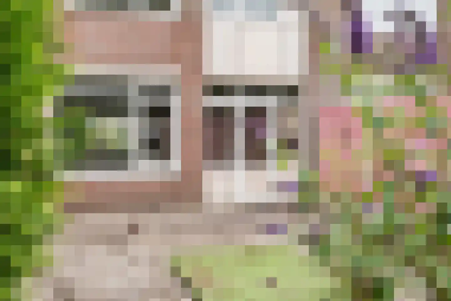 De Kerfjes 33 Schoonebeek thumbnail 4