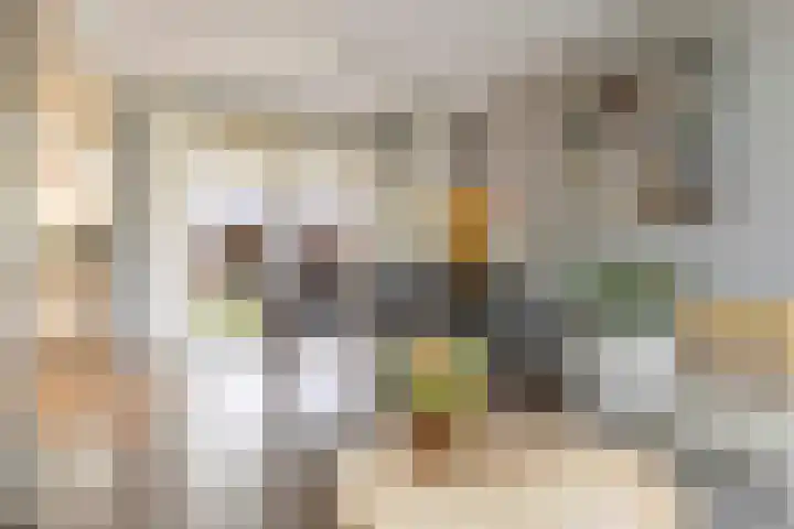 De Kerfjes 61 Schoonebeek thumbnail 10