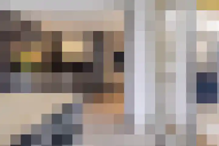 De Kerfjes 61 Schoonebeek thumbnail 13