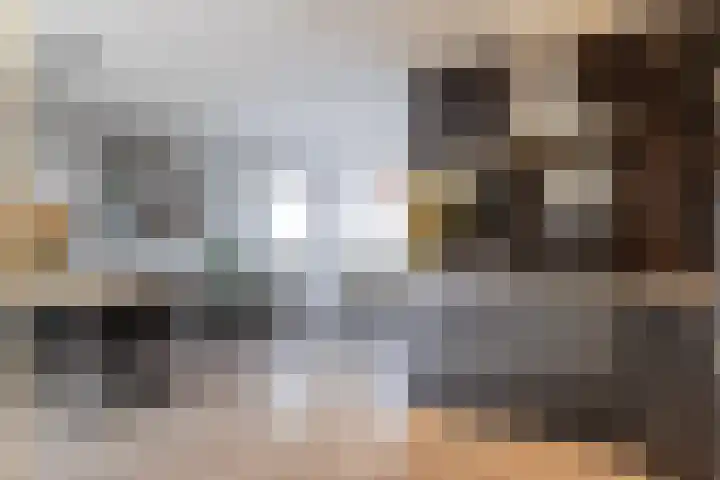 De Kerfjes 61 Schoonebeek thumbnail 15