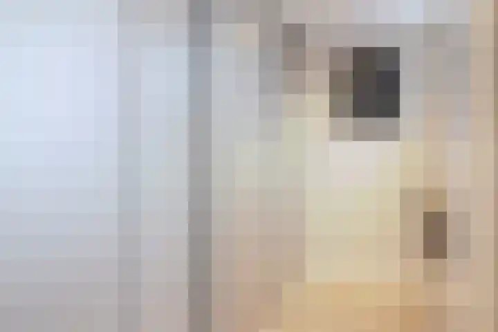 De Kerfjes 61 Schoonebeek thumbnail 16