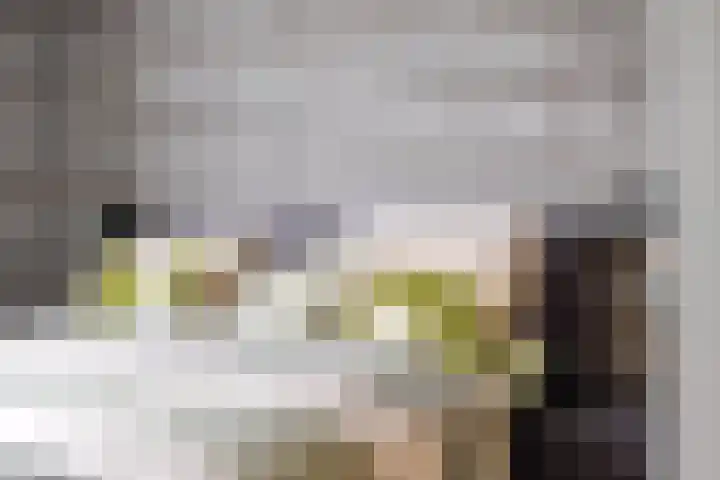 De Kerfjes 61 Schoonebeek thumbnail 20
