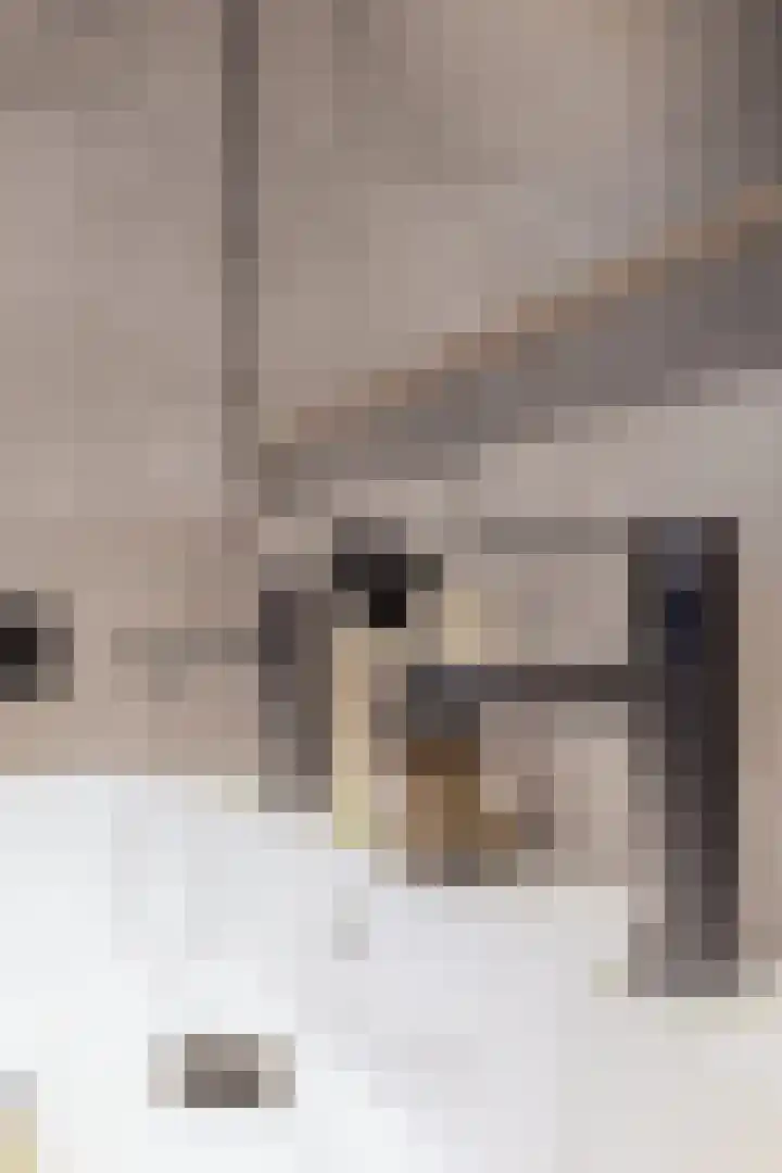 De Kerfjes 61 Schoonebeek thumbnail 27