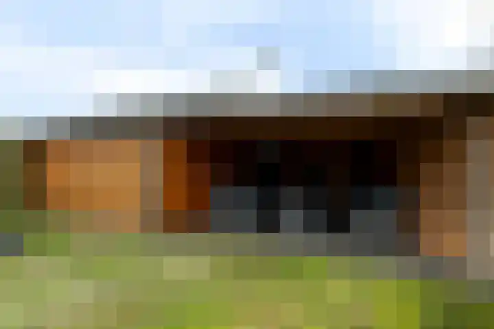 De Kerfjes 61 Schoonebeek thumbnail 37
