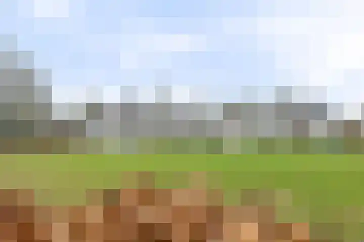 De Kerfjes 61 Schoonebeek thumbnail 38