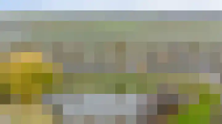 De Kerfjes 61 Schoonebeek thumbnail 39