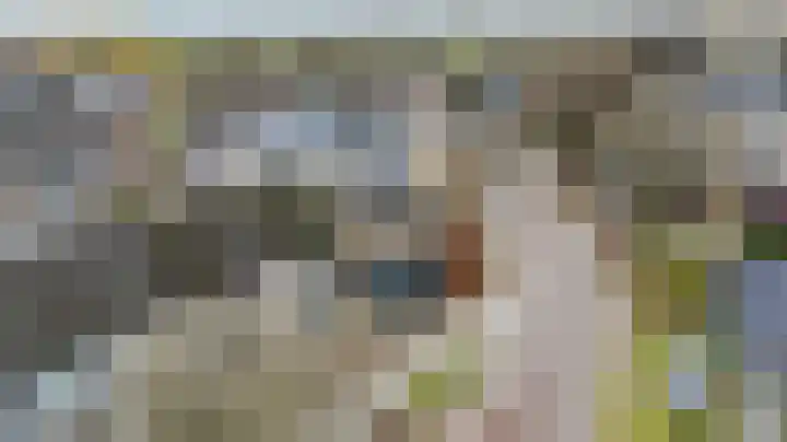 De Kerfjes 61 Schoonebeek thumbnail 41