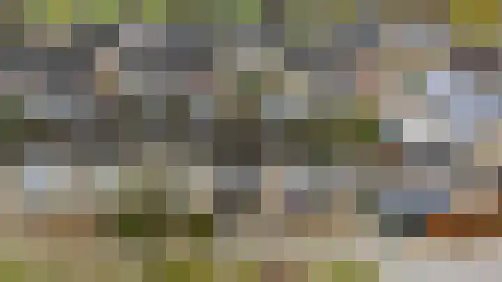 De Kerfjes 61 Schoonebeek thumbnail 42