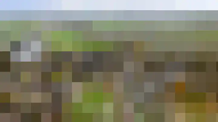 De Kerfjes 61 Schoonebeek thumbnail 43