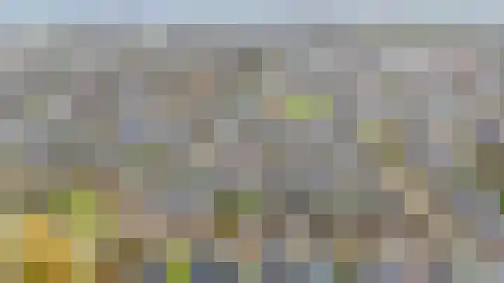 De Kerfjes 61 Schoonebeek thumbnail 44