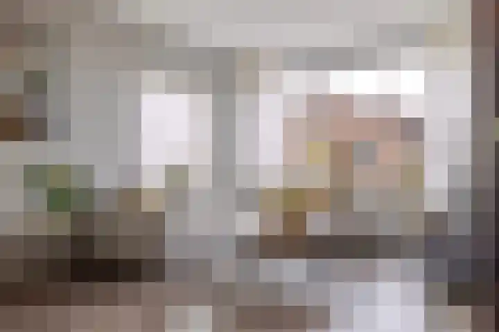 De Kerfjes 61 Schoonebeek thumbnail 8