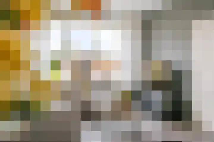 De Kerfjes 61 Schoonebeek thumbnail 9