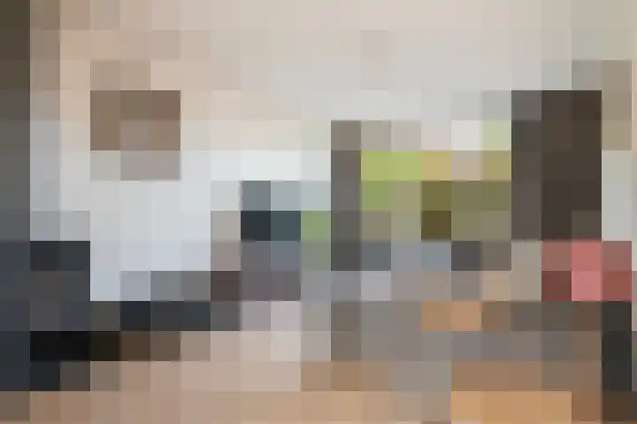 De Kerkegaarden 43 Diepenheim thumbnail 13