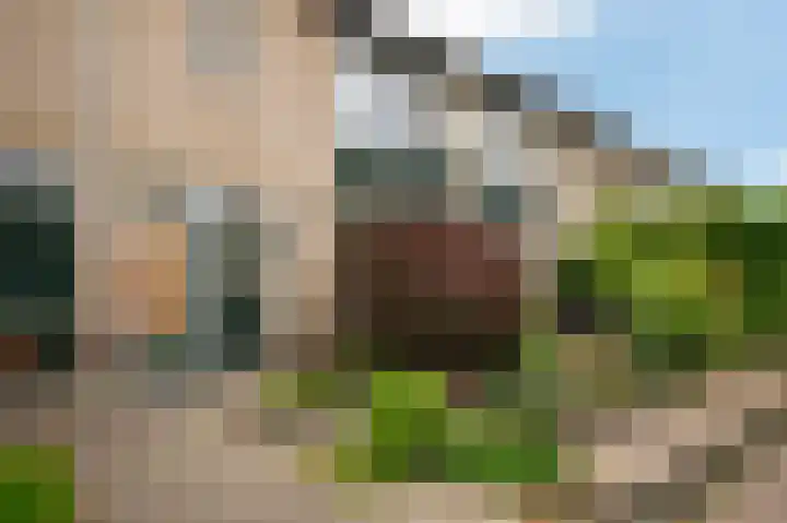 De Kerkegaarden 43 Diepenheim thumbnail 26