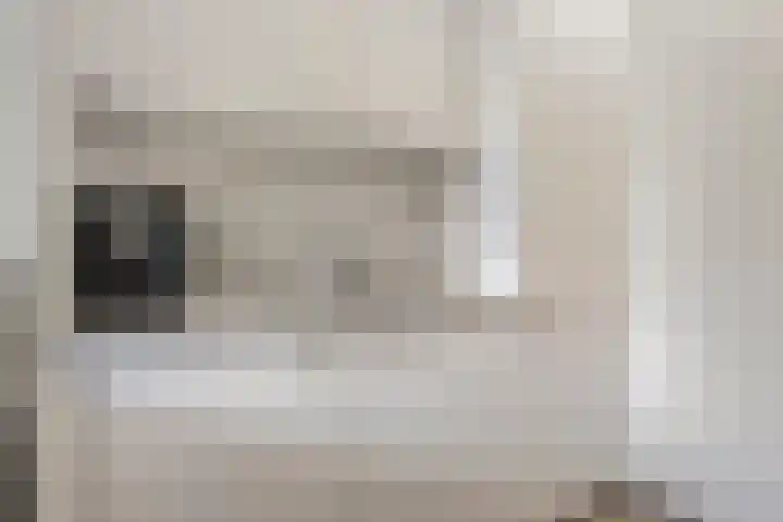 de Kerkuil 146 Denekamp thumbnail 15