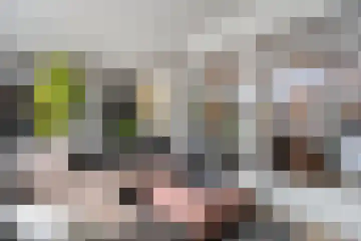 de Kerkuil 146 Denekamp thumbnail 17