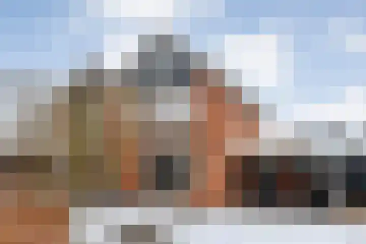 de Kerkuil 146 Denekamp thumbnail 4