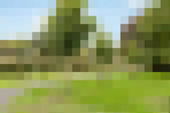 De Kerkuil 6 Amersfoort thumbnail 37