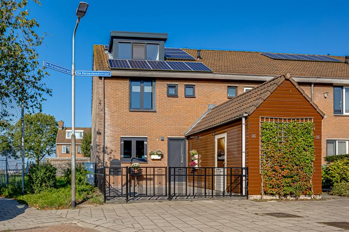 De Kersenboomstraat 1 dans Westzaan photo