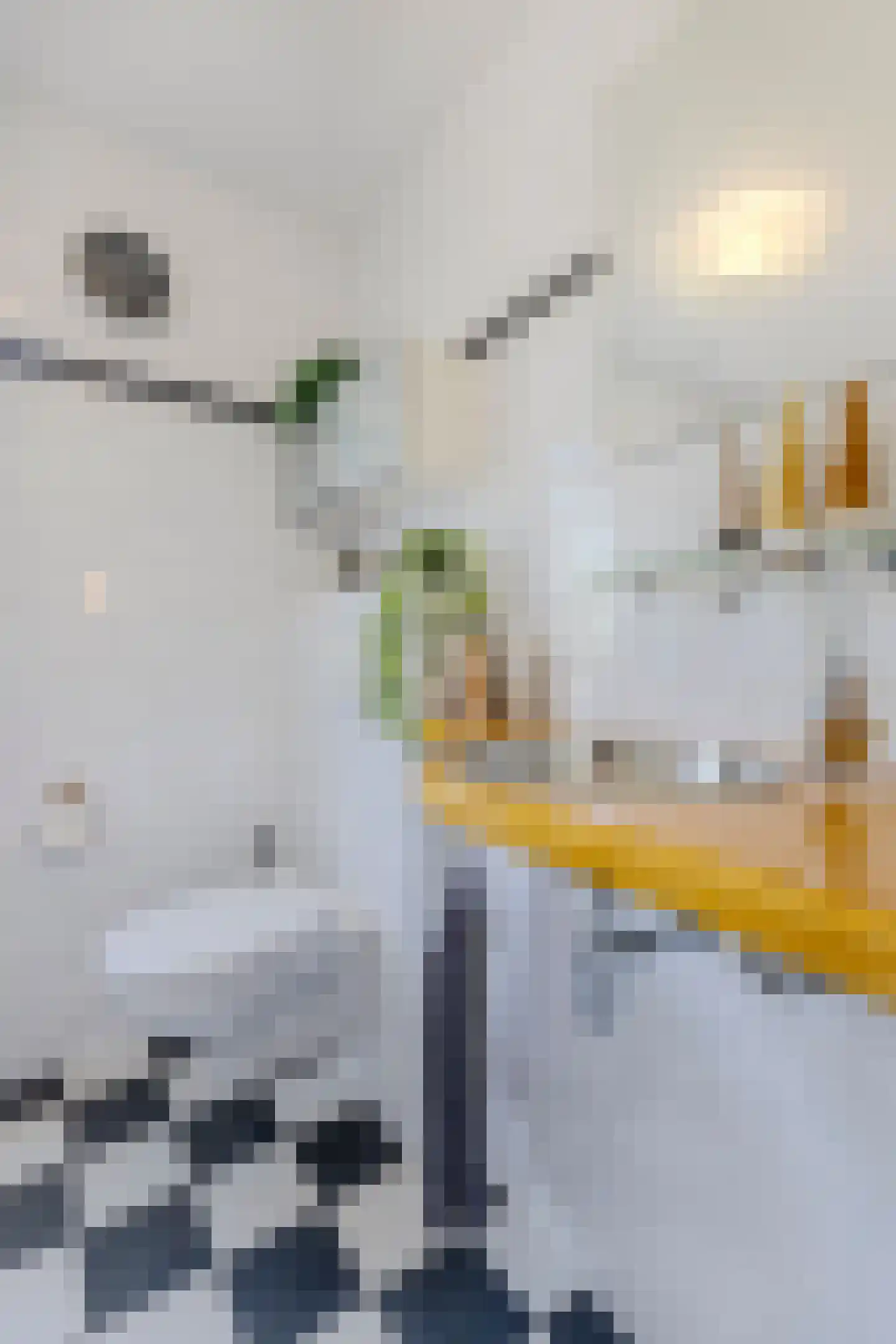 De Kersenboomstraat 29 Westzaan thumbnail 33