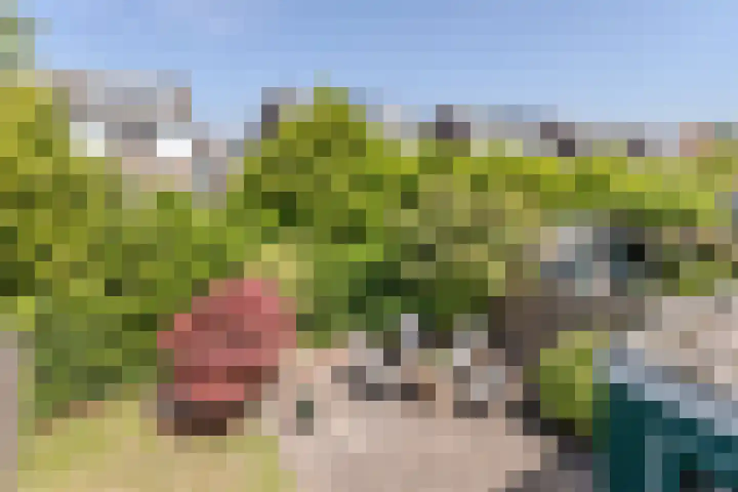 De Kersenboomstraat 29 Westzaan thumbnail 45