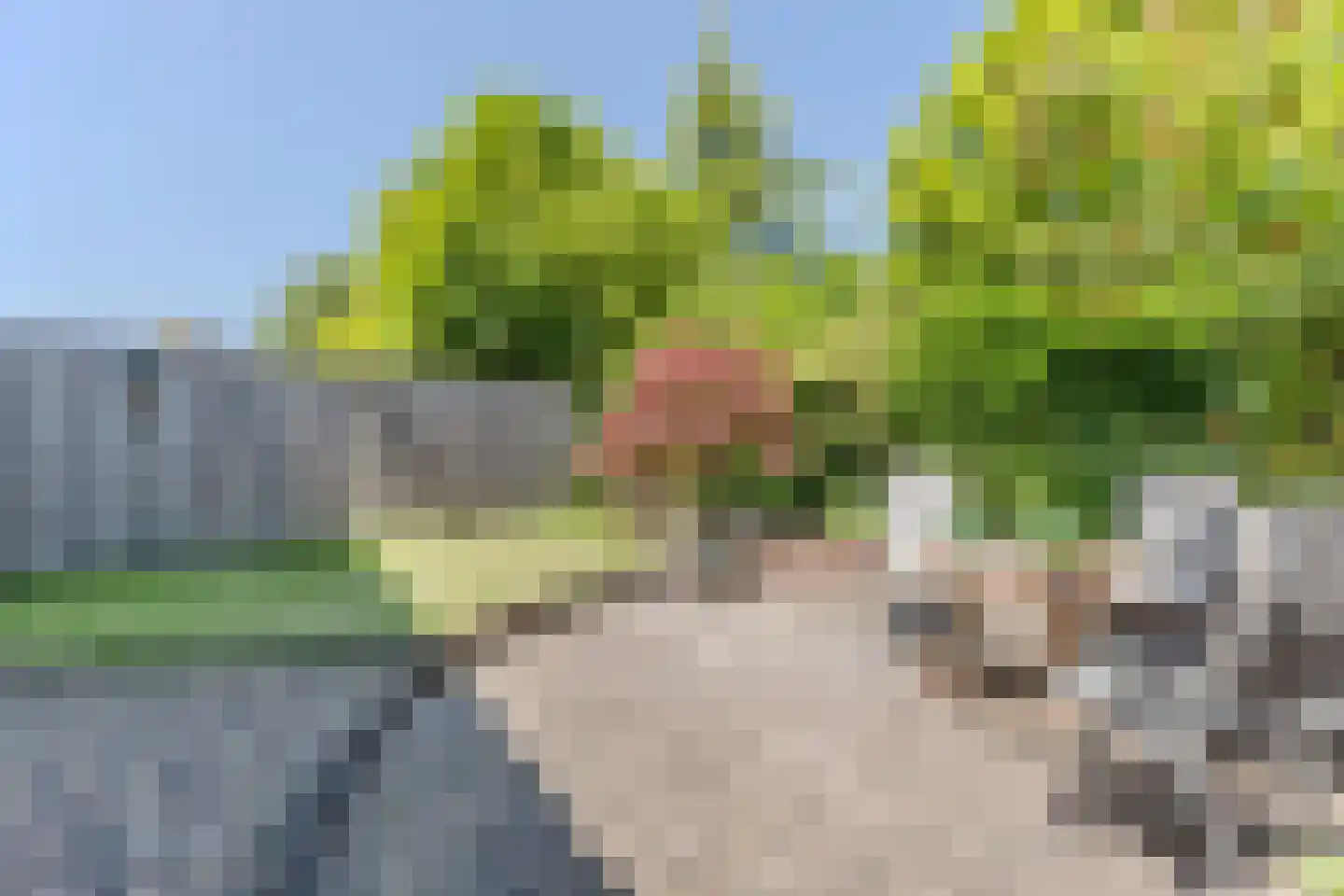 De Kersenboomstraat 29 Westzaan thumbnail 48