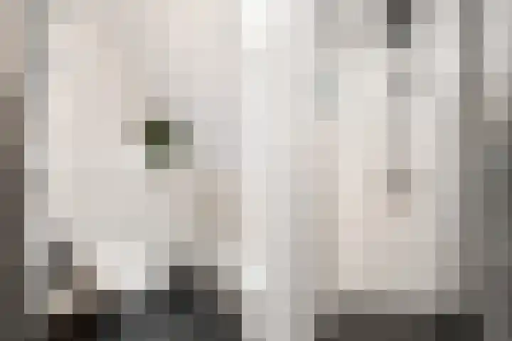 De Kerspel 3 Westervoort thumbnail 32
