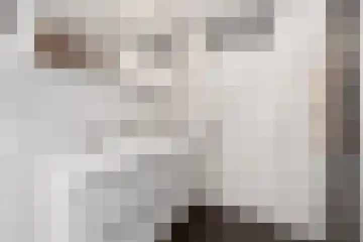 De Kerspel 3 Westervoort thumbnail 33