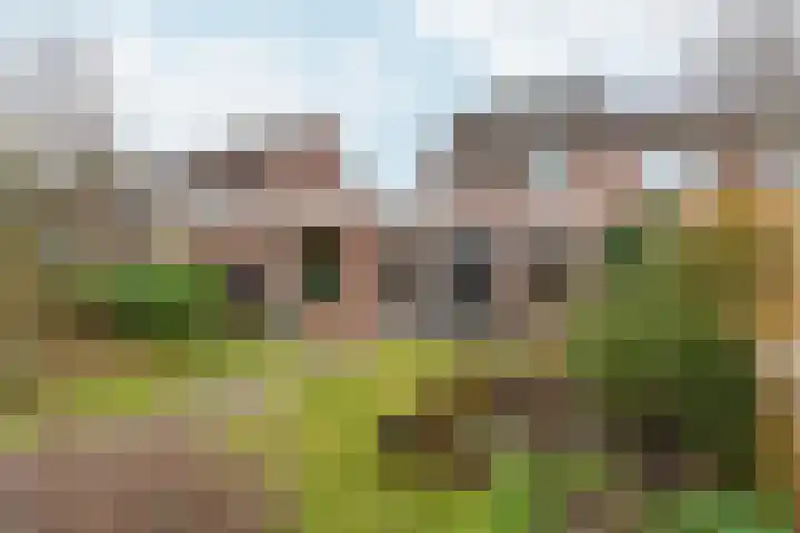 De Kerspel 3 Westervoort thumbnail 45