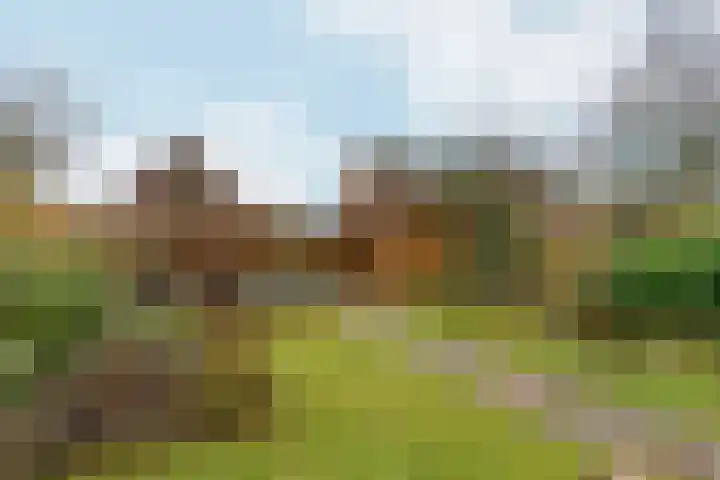 De Kerspel 3 Westervoort thumbnail 48