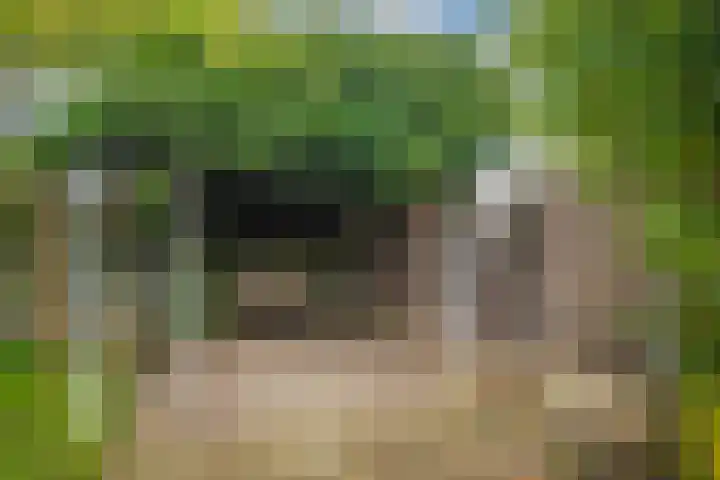 De Kerspel 5 Westervoort thumbnail 28