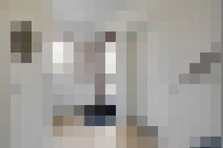 De Kerspel 9 Westervoort thumbnail 11
