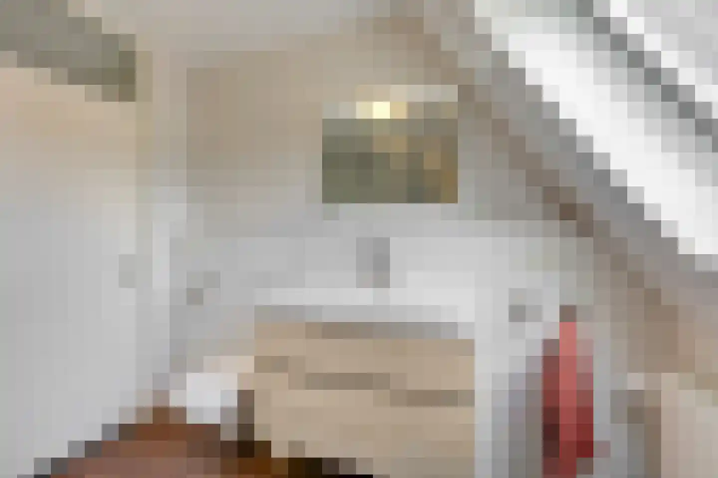 De Kerspel 9 Westervoort thumbnail 30