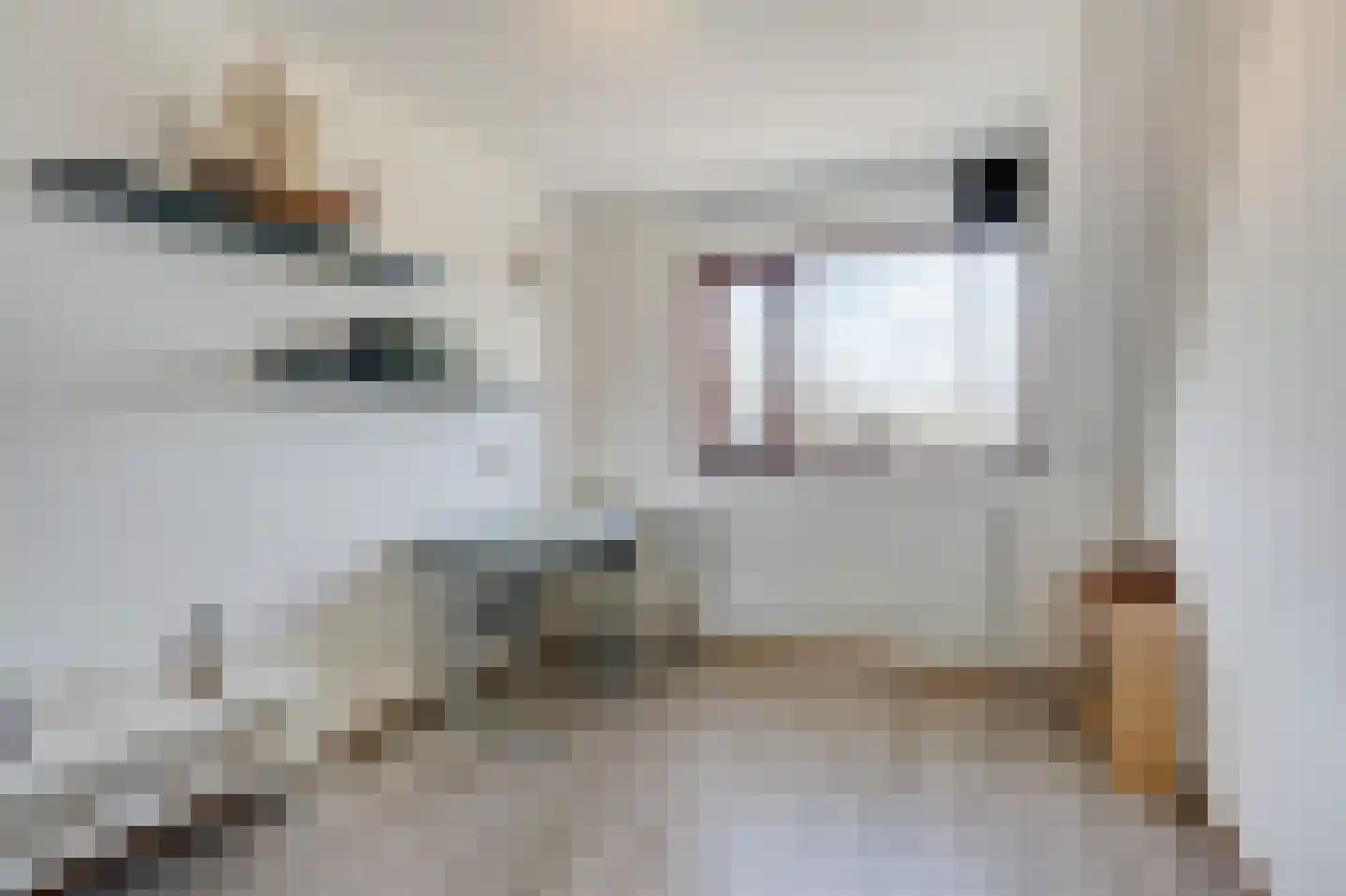 De Kerspel 9 Westervoort thumbnail 33