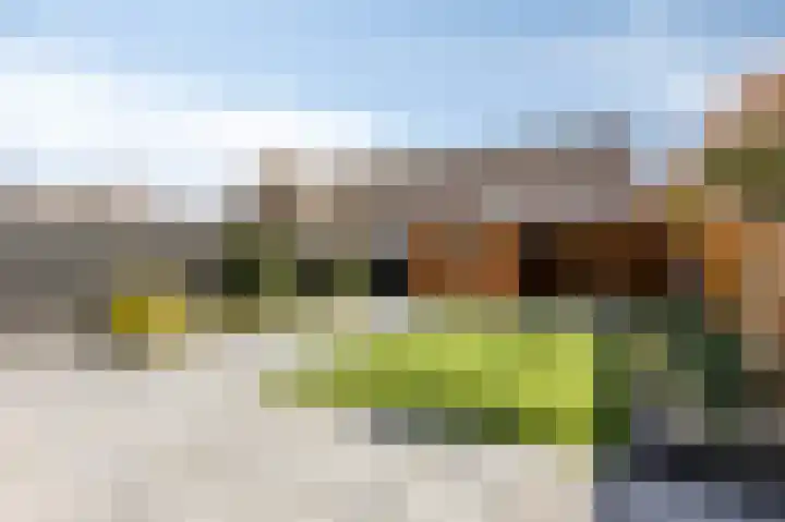 De Kerspel 9 Westervoort thumbnail 44