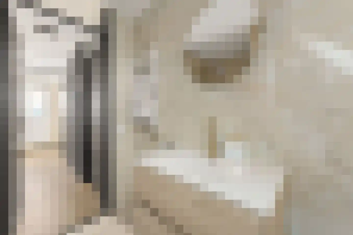 De Kervershilt 12 Leusden thumbnail 14