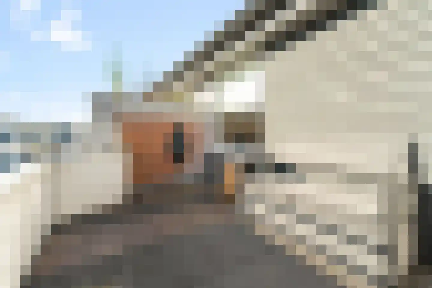 De Kervershilt 12 Leusden thumbnail 17
