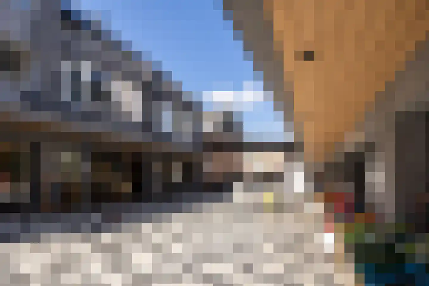 De Kervershilt 12 Leusden thumbnail 35