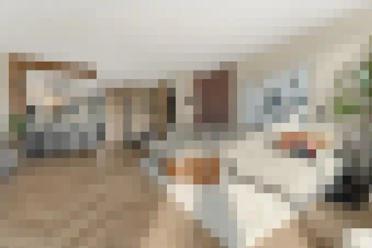 De Kervershilt 12 Leusden thumbnail 4