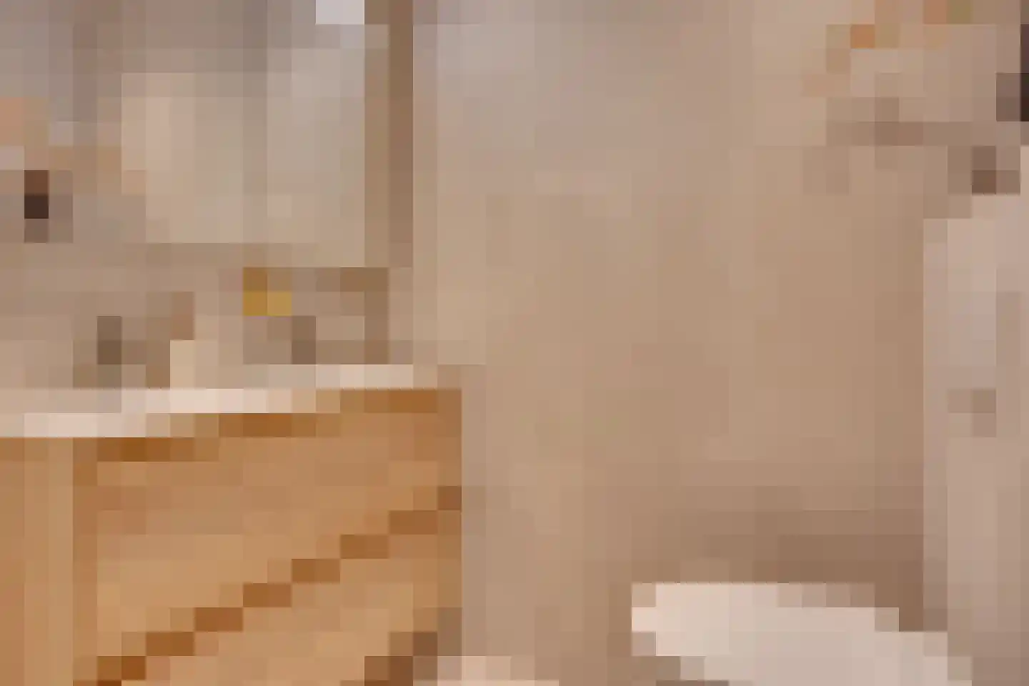 De Kervershilt 27 a Leusden thumbnail 11