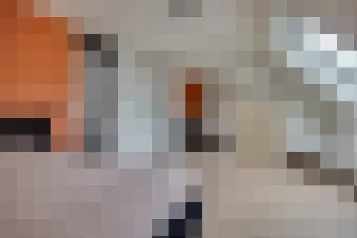 De Kervershilt 31 Leusden thumbnail 14