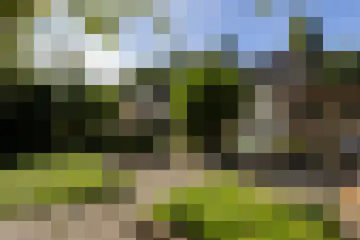 De Ketting 13 Dronten thumbnail 14