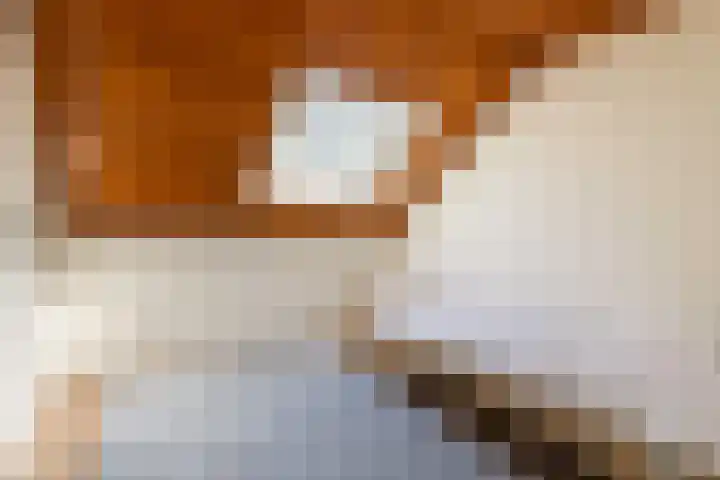 De Ketting 13 Dronten thumbnail 22