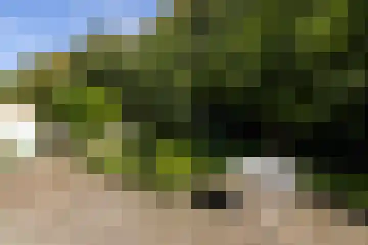 De Ketting 13 Dronten thumbnail 36